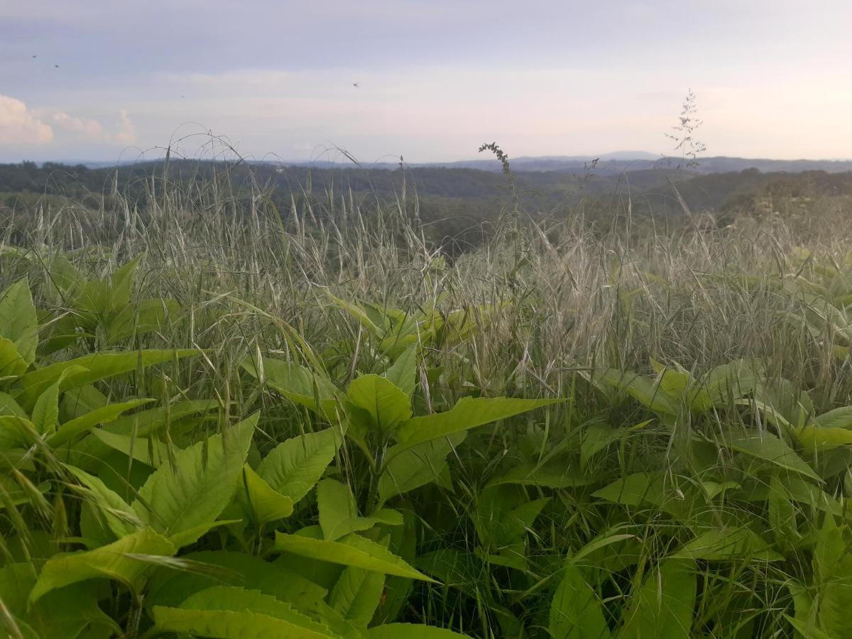 Bnb Ferme Beauregard Les Pyrenees Artigat Buitenkant foto