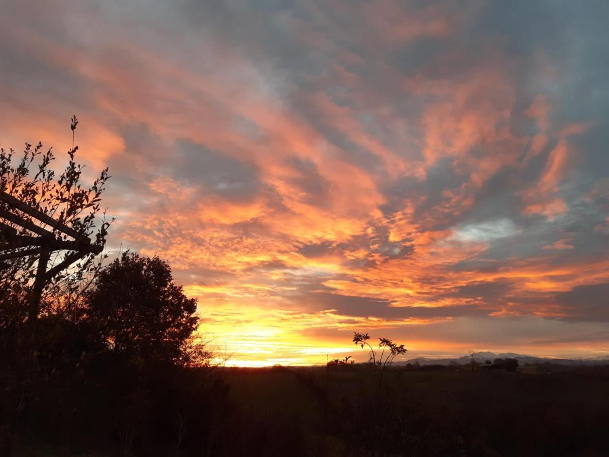 Bnb Ferme Beauregard Les Pyrenees Artigat Buitenkant foto