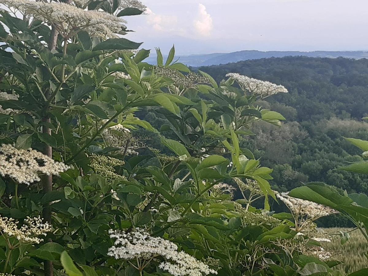 Bnb Ferme Beauregard Les Pyrenees Artigat Buitenkant foto